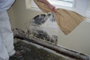 10 Mold Prevention Tips – How To Stop Mold From Growing In Your House ...